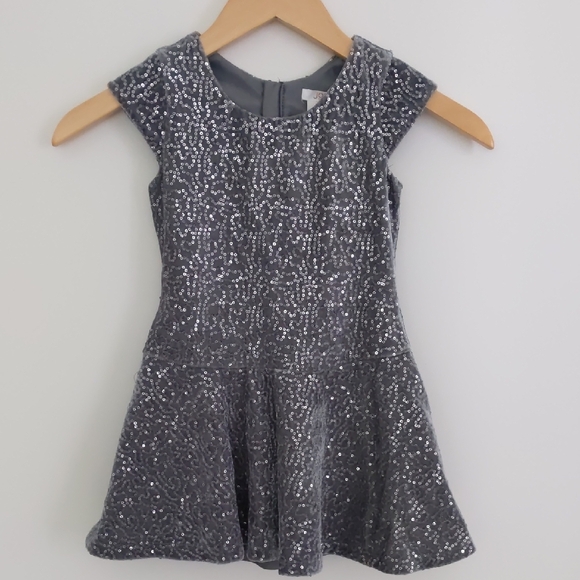 Joe Fresh Other - Girls Joe Fresh Silver Sparkle Holiday Sequins Skater Line Dress Size XS/TP 4-5
